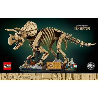 Szkielety dinozaurów: triceratops